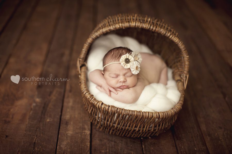 knoxville newborn photographer