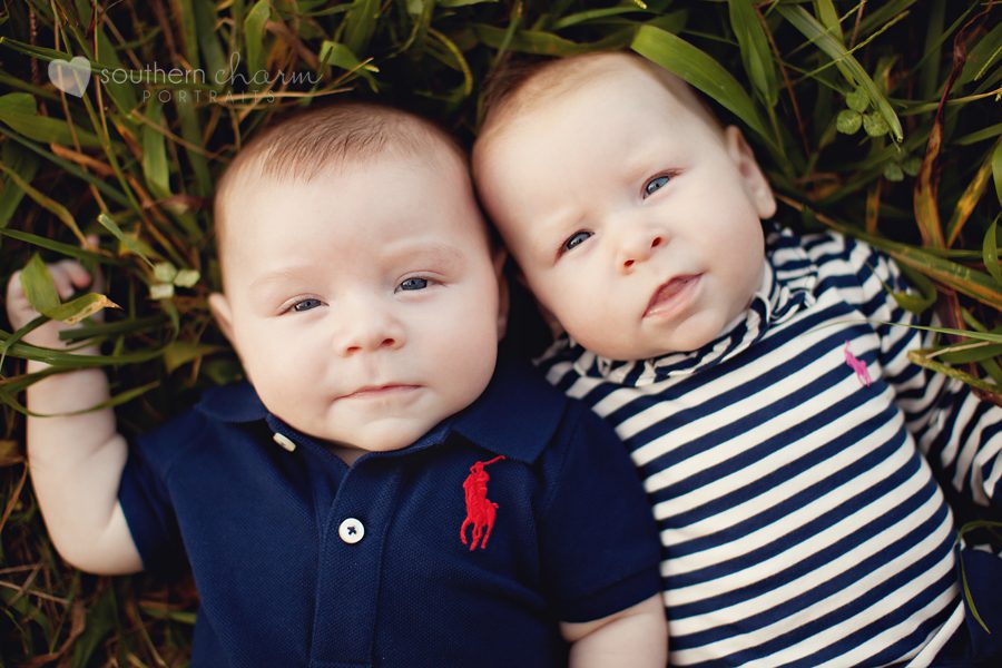 baby portraits in knoxville tn
