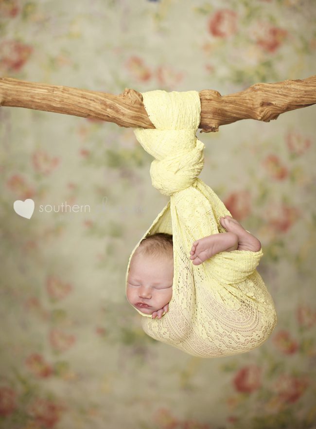 knoxville baby photography
