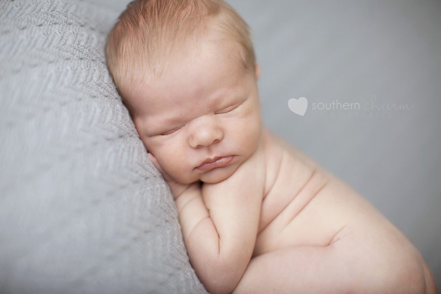 maternity and newborn photographer in knoxville, tn