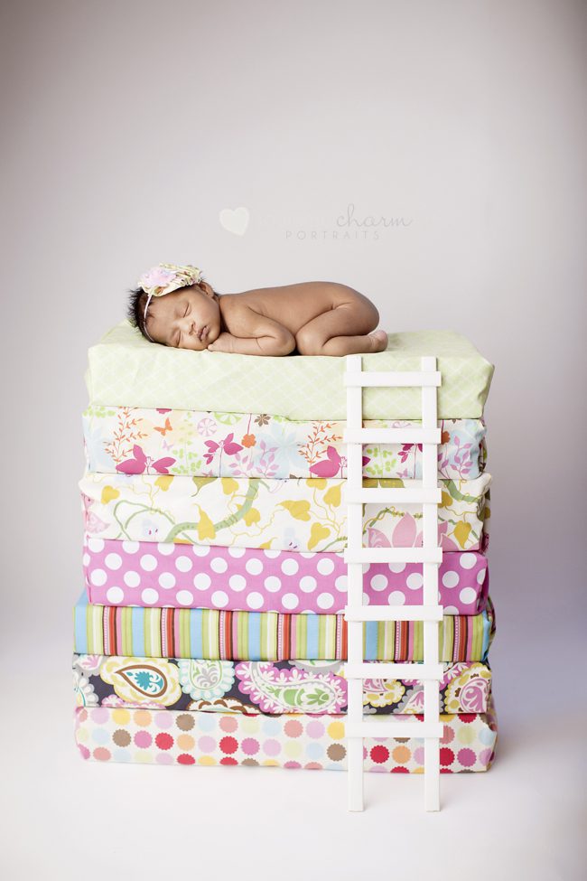 knoxville newborn photographer