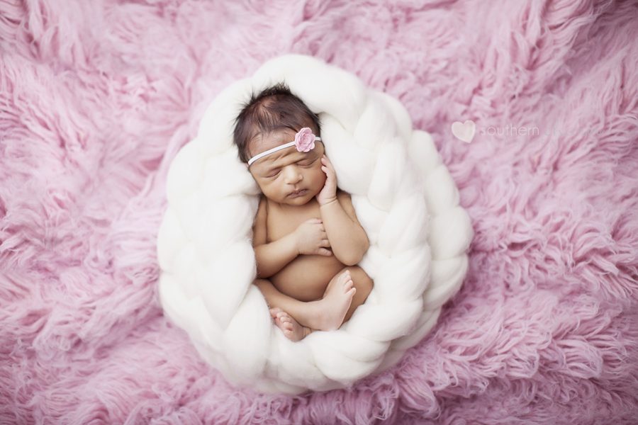 baby photographers in knoxville