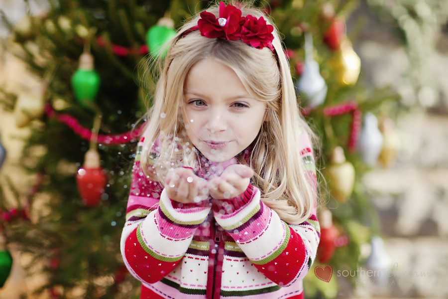 knoxville tn family photographers