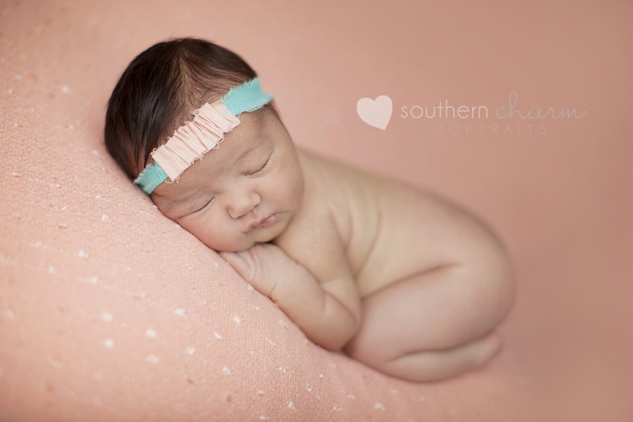 tn newborn photography