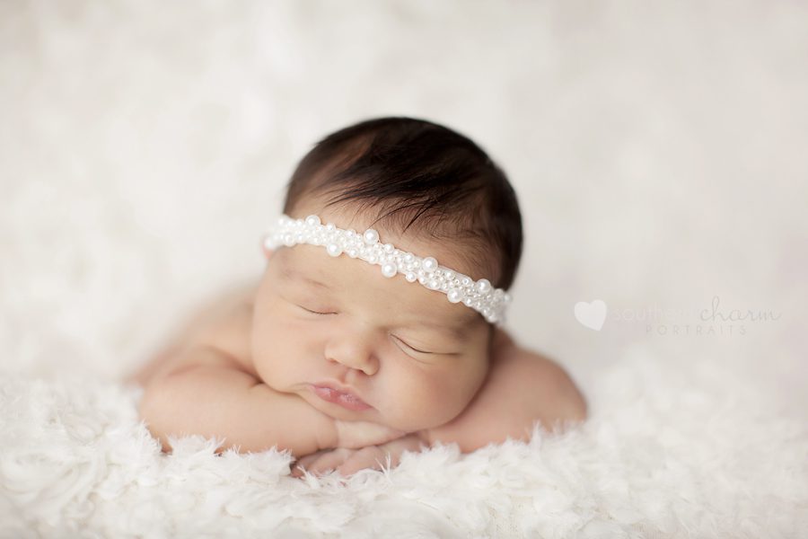 knoxville newborn photographers