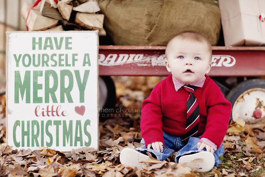 knoxville baby photography