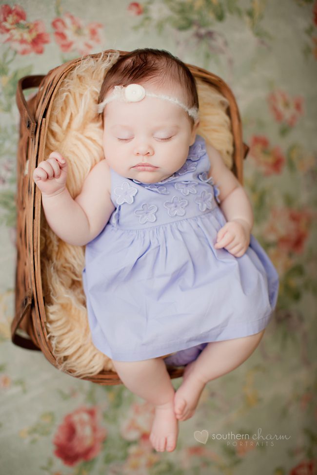tennessee baby photographers