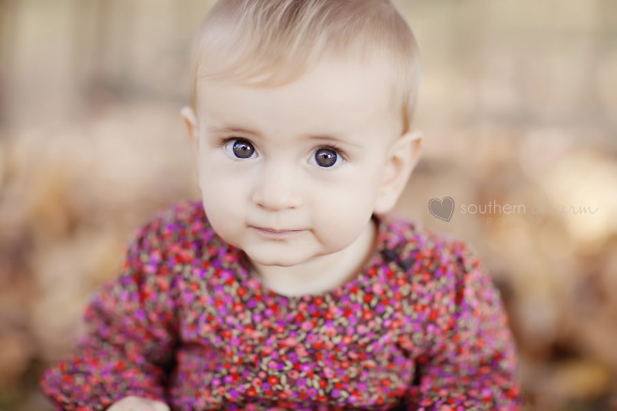 baby photographers in knoxville