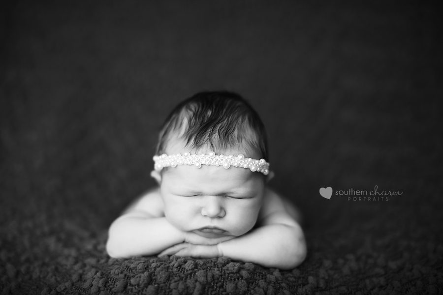 knoxville tn newborn photographer