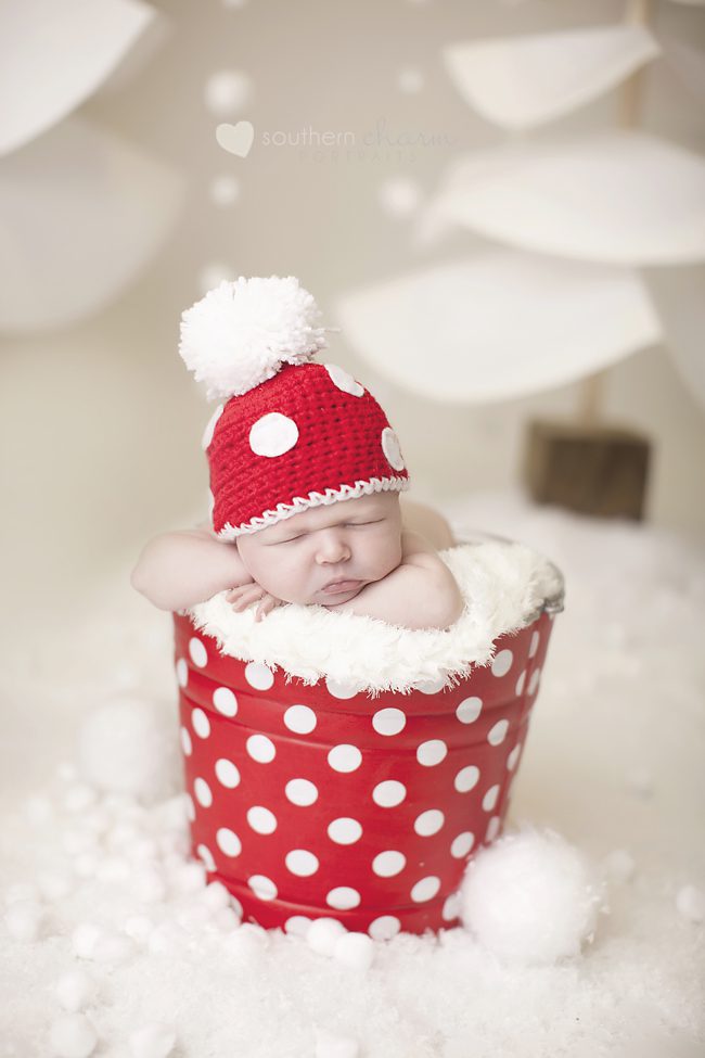 knoxville tn newborn pictures