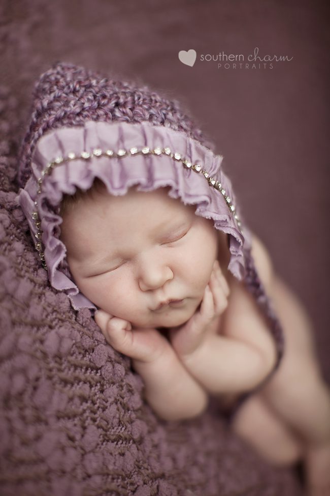 baby portraits in knoxville tn