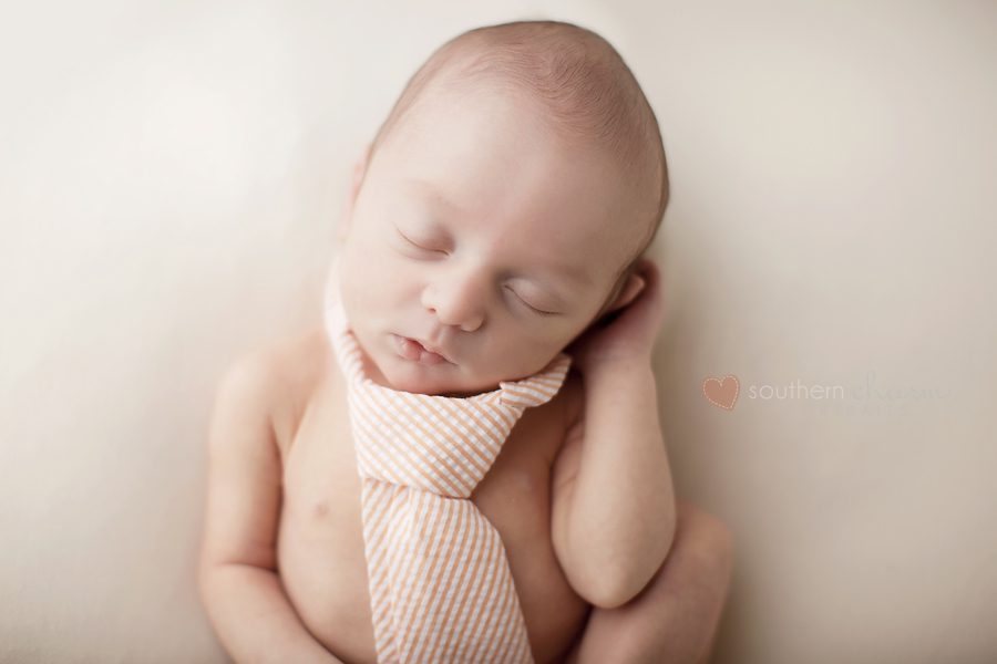 maternity and newborn photographer in knoxville, tn