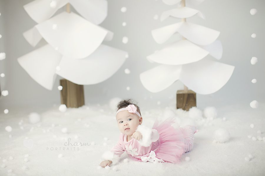 baby portraits in knoxville tn