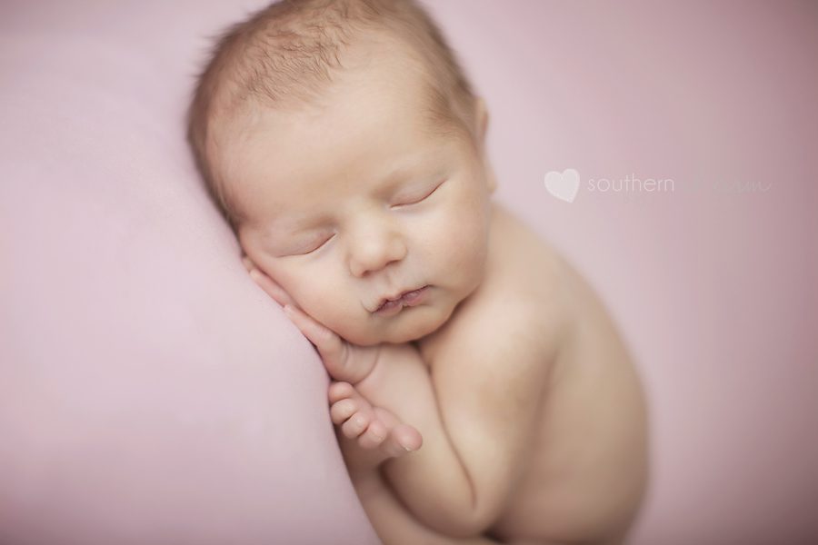 knoxville newborn photographer