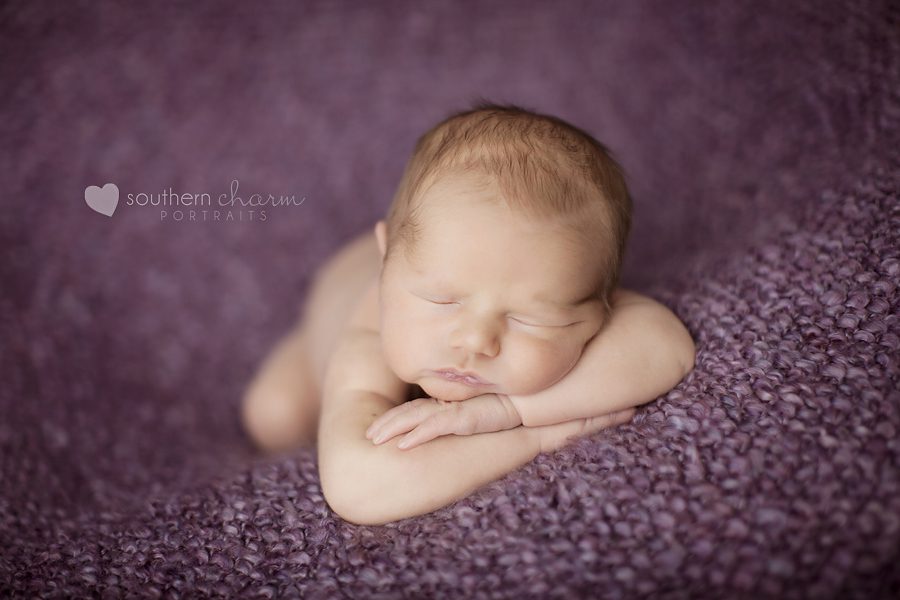 knoxville newborn photographers