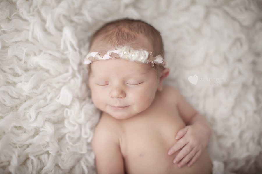 knoxville newborn photographer