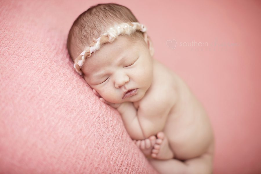 tn newborn photography