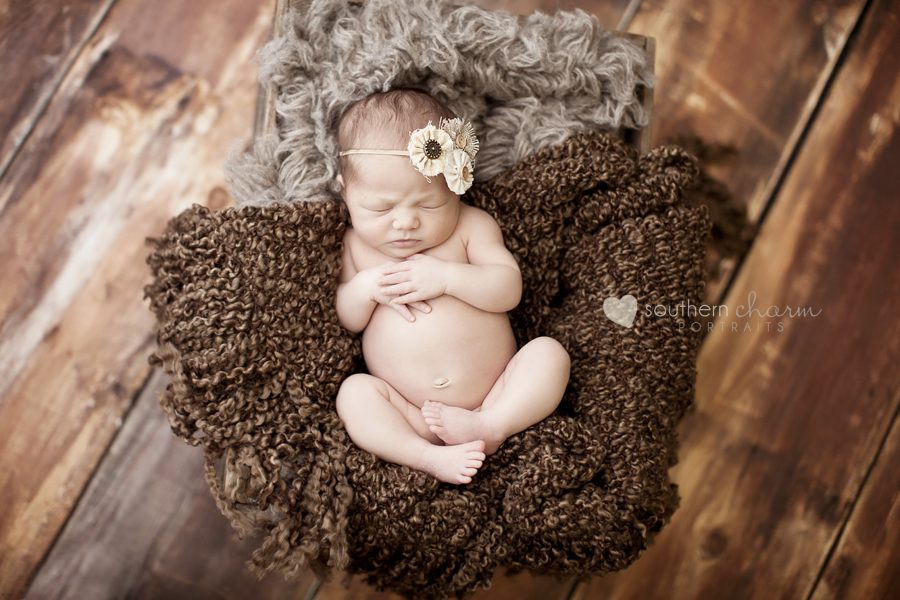 knoxville tn newborn photographer