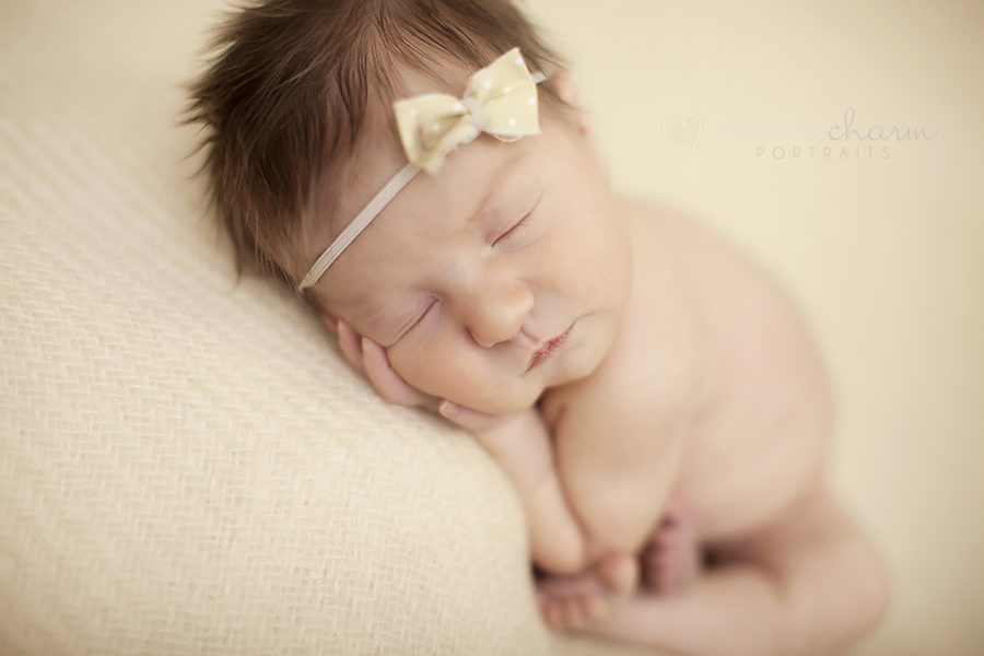 maternity and newborn photographer in knoxville, tn