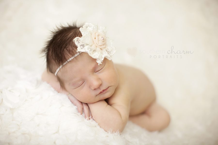 modern newborn photography in knoxville twins