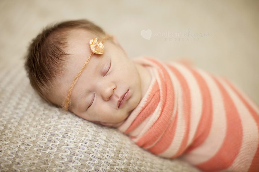 knoxville tn portrait studio