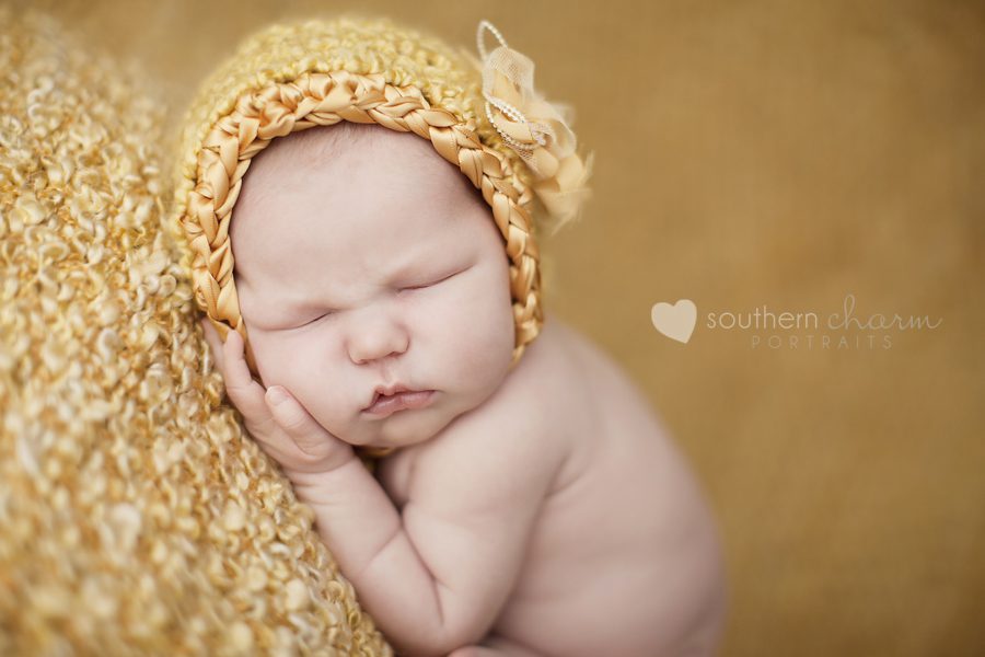 modern newborn photography in knoxville twins