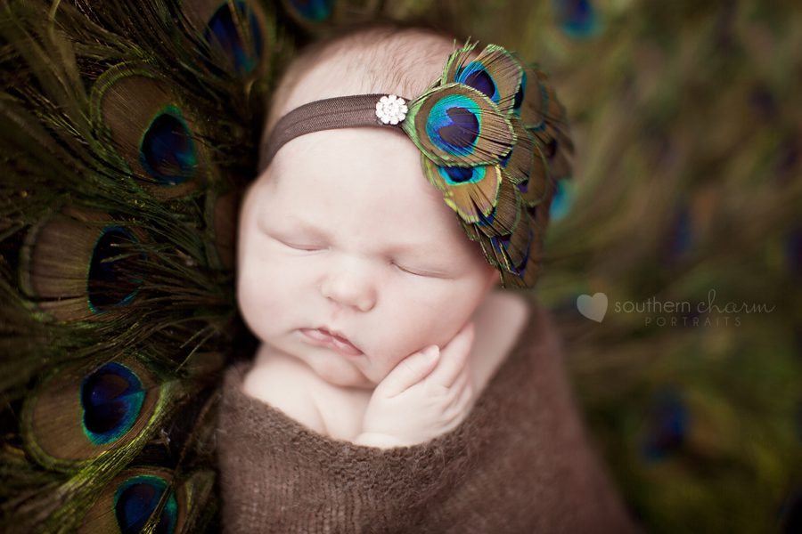 knoxville newborn photographer