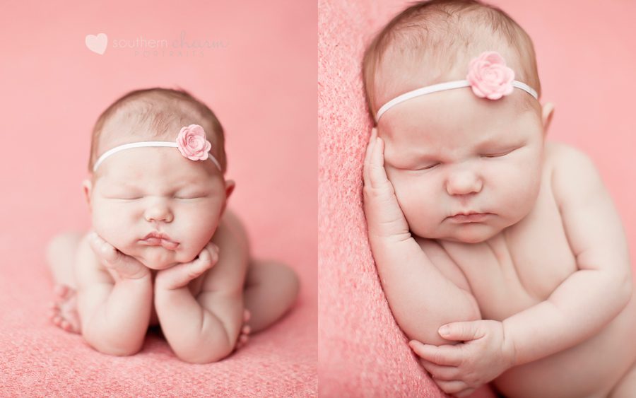 knoxville newborn photographers