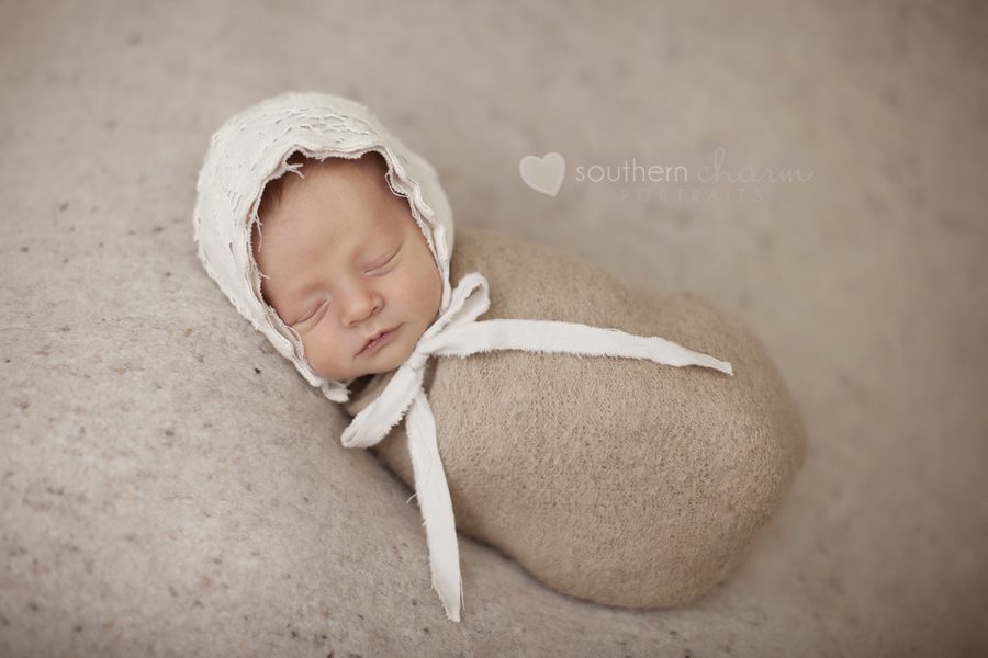 maternity and newborn photographer in knoxville, tn