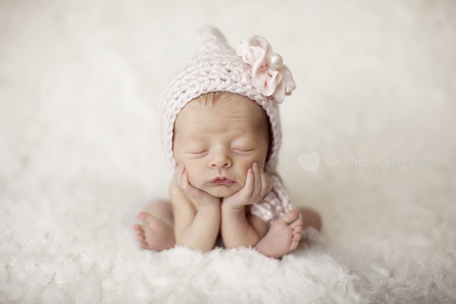 modern newborn photography in knoxville twins