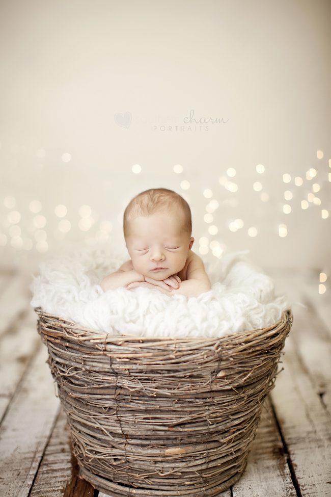 baby photographers in knoxville