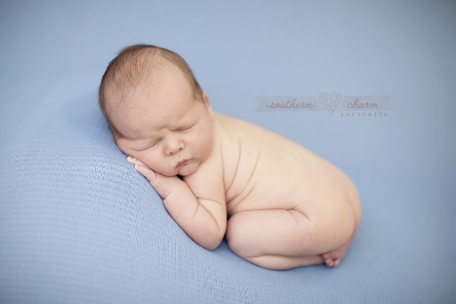 tennessee baby photographers