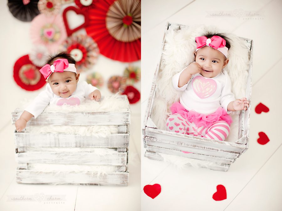 baby portraits in knoxville tn