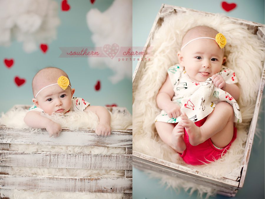 knoxville premier baby photography studio