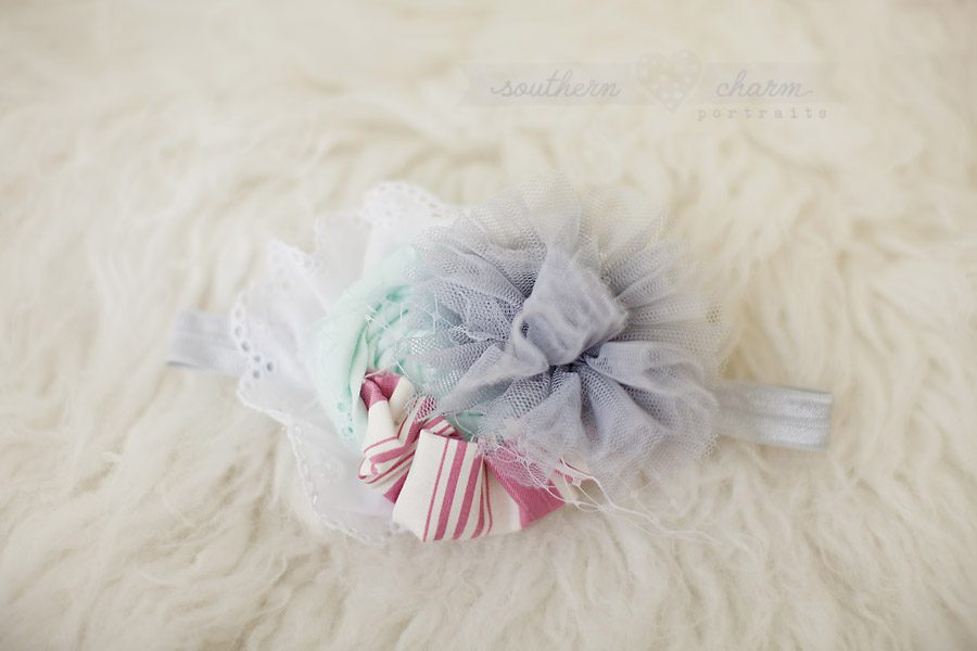 knoxville premier baby photography studio