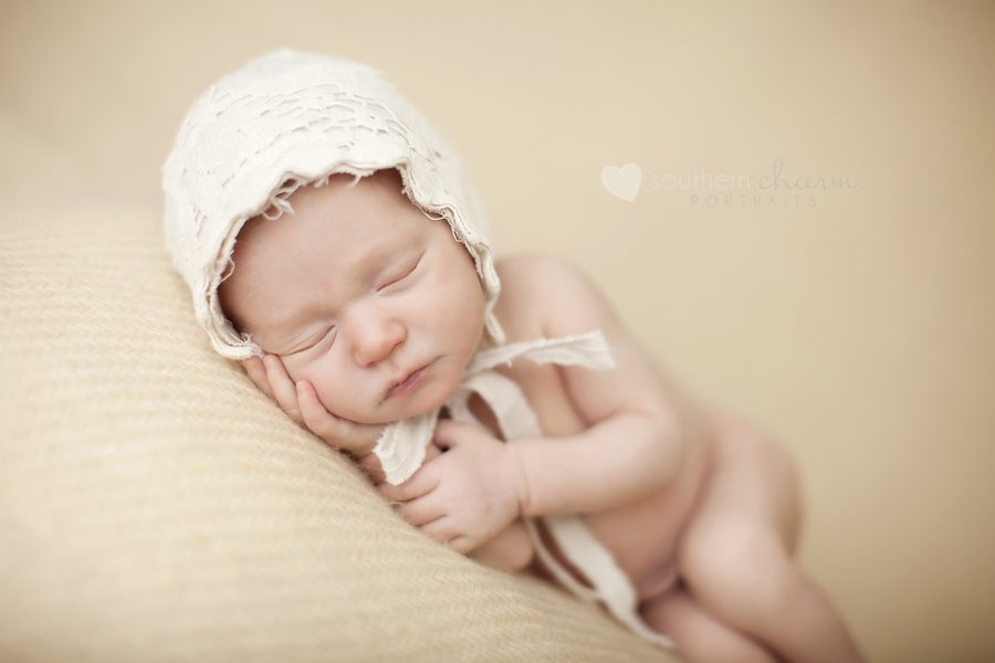 baby photographers in knoxville