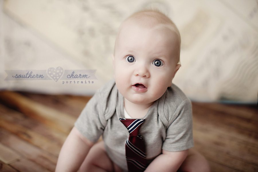 baby photographers in knoxville