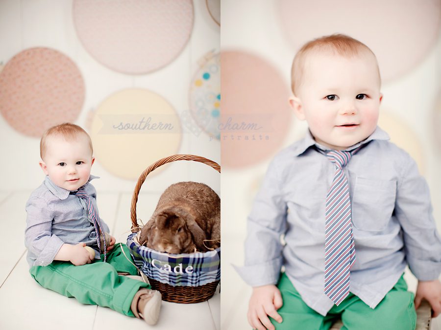 baby portraits in knoxville tn