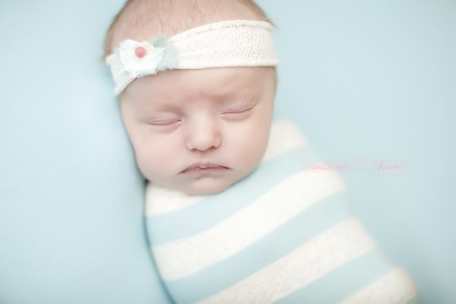 maternity and newborn photographer in knoxville, tn