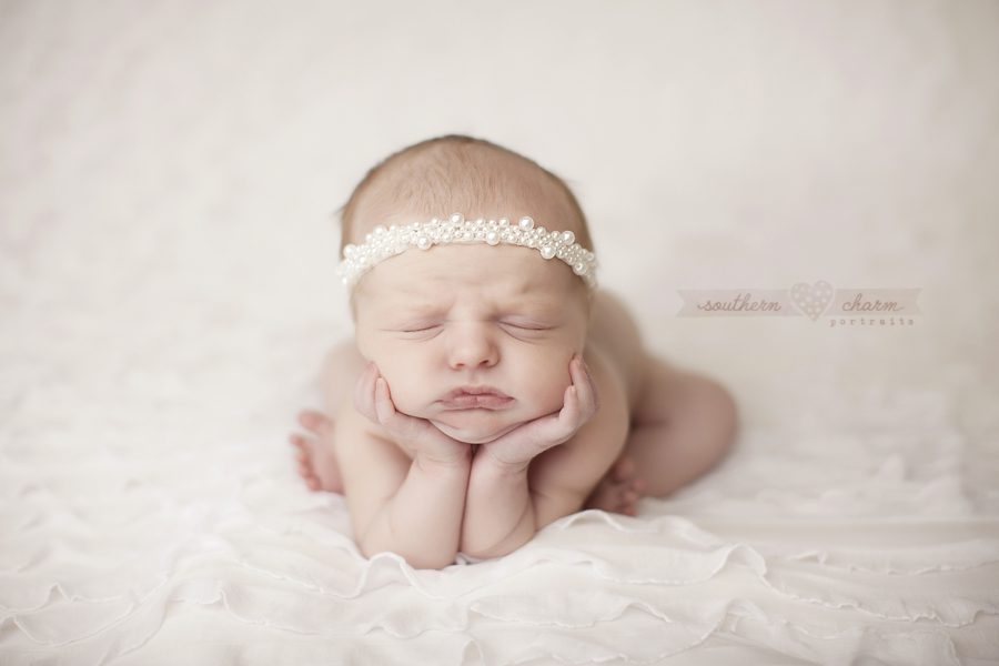 modern newborn photography in knoxville twins