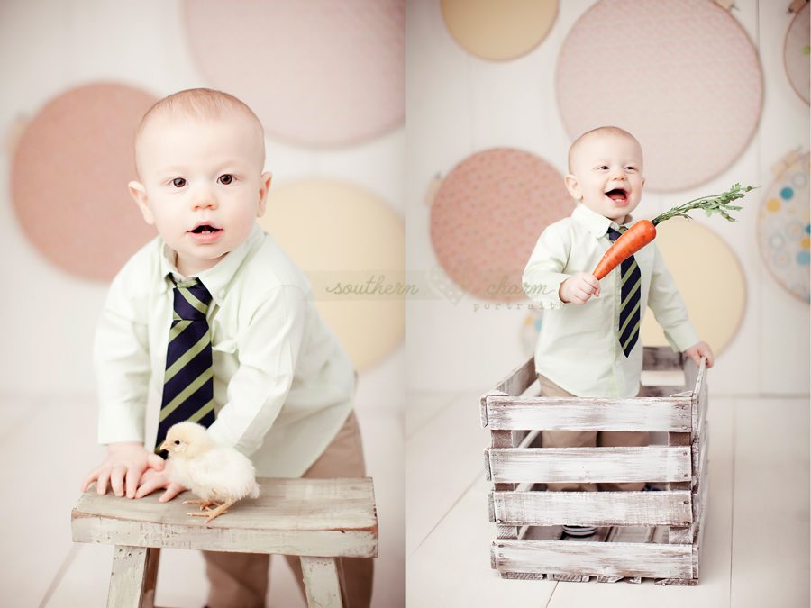 knoxville, tn newborn photography studio