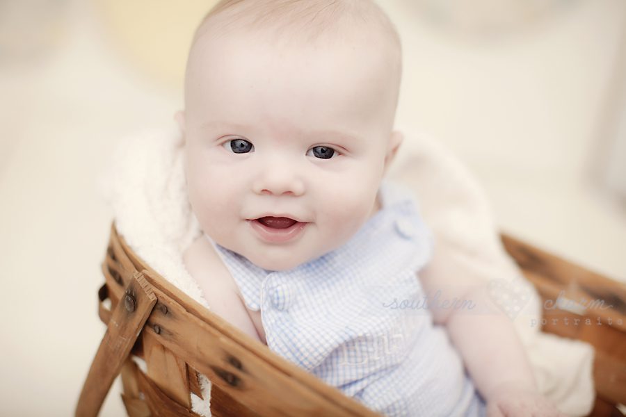 baby photographers in knoxville