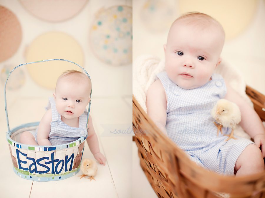 tennessee baby photographers