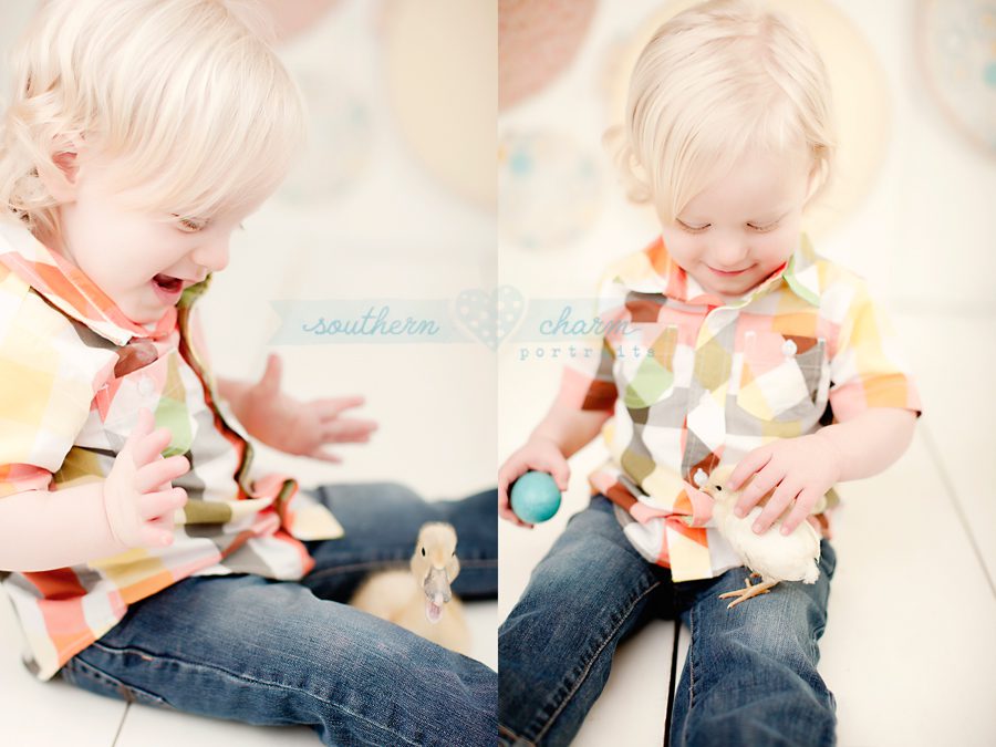 baby portraits in knoxville tn