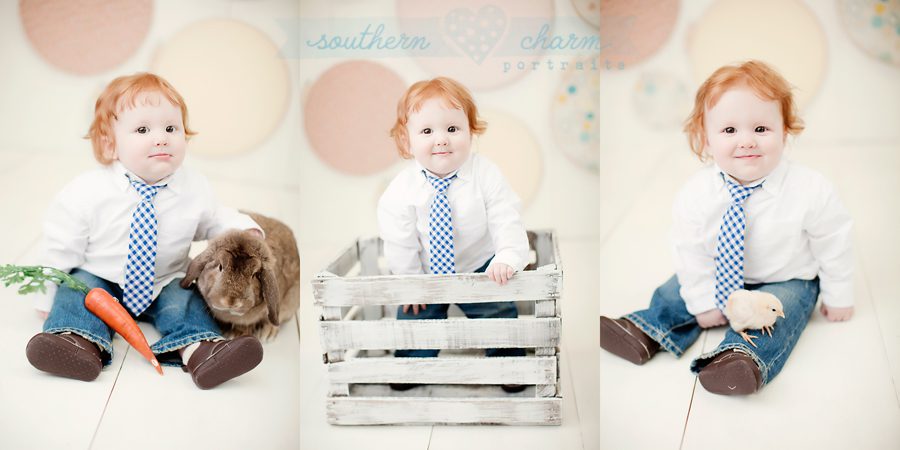 baby portraits in knoxville tn