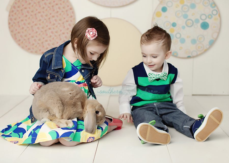 knoxville premier baby photography studio