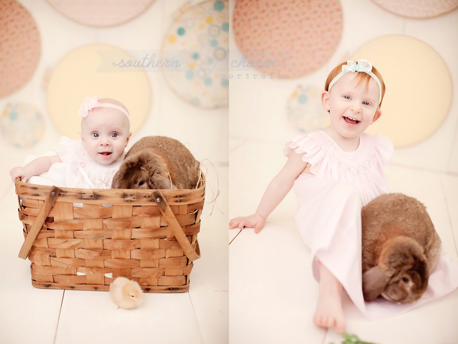 baby photographers in knoxville, tn and east tn area