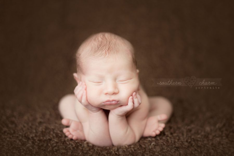 tn newborn photography