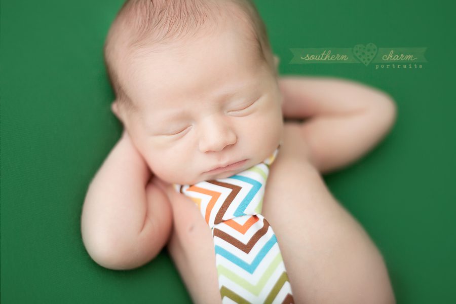 modern newborn photography in knoxville twins