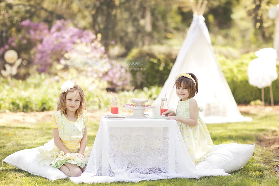 knoxville premier baby photography studio